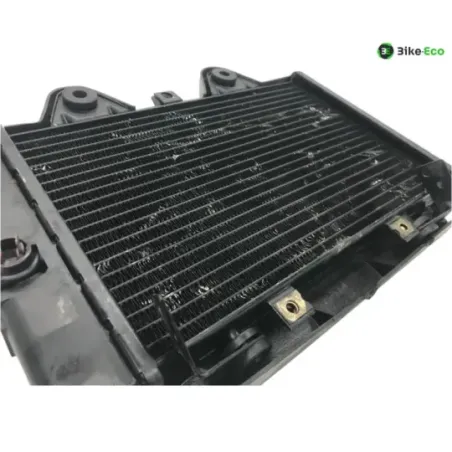 Radiateur eau TRIUMPH TROPHY 900 1992-1995