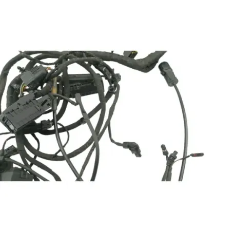 Faisceau electrique BMW C EVOLUTION ABS 2013 - 2020