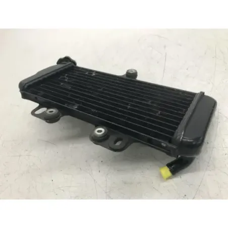 Radiateur eau YAMAHA TDR 125 1997-2003