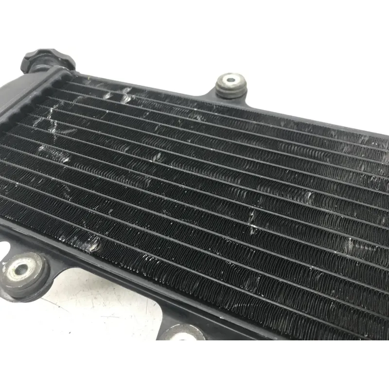 Radiateur eau YAMAHA TDR 125 1997-2003