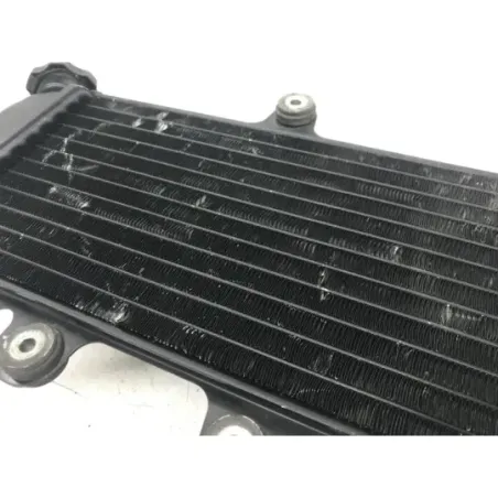 Radiateur eau YAMAHA TDR 125 1997-2003