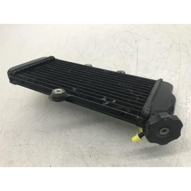 Radiateur eau YAMAHA TDR 125 1997-2003