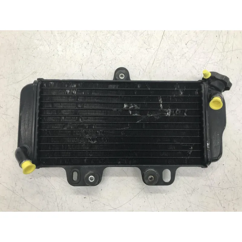 Radiateur eau YAMAHA TDR 125 1997-2003