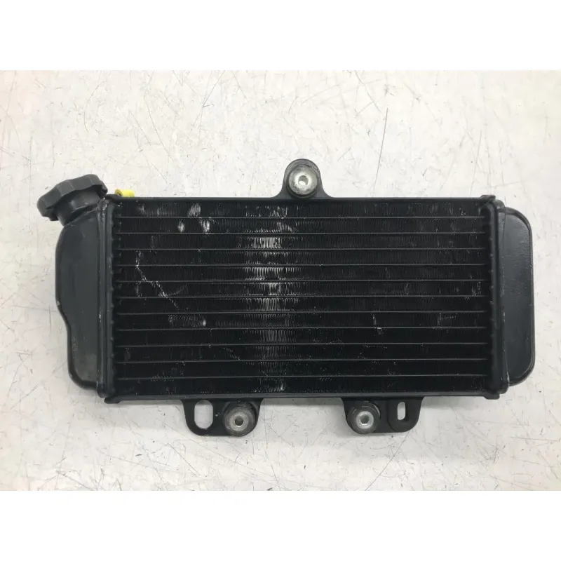 Radiateur eau YAMAHA TDR 125 1997-2003