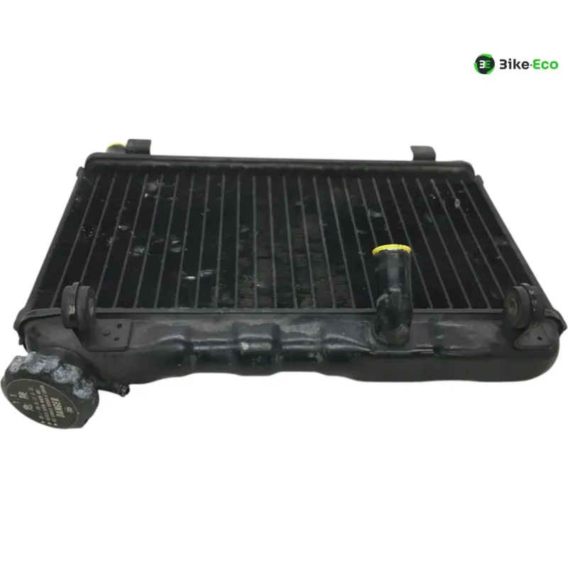 Radiateur eau SUZUKI RG 125 F 1992-1996 GAMMA