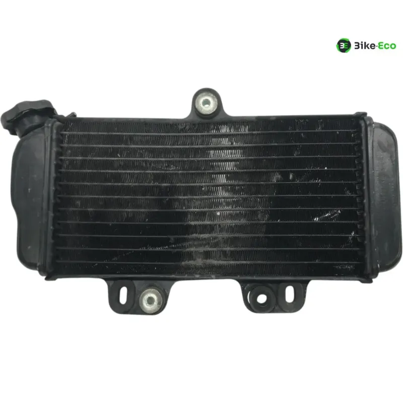 Radiateur eau YAMAHA TDR 125 1997-2003
