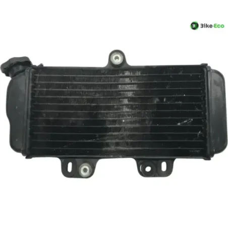 Radiateur eau YAMAHA TDR 125 1997-2003