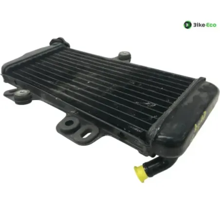 Radiateur eau YAMAHA TDR 125 1997-2003