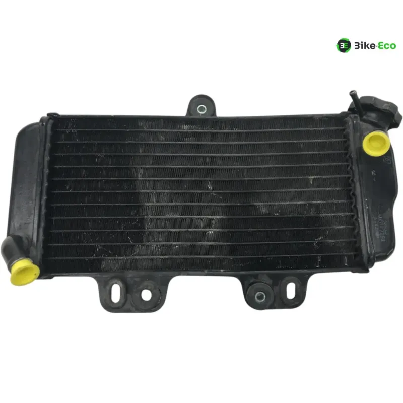 Radiateur eau YAMAHA TDR 125 1997-2003