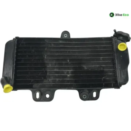 Radiateur eau YAMAHA TDR 125 1997-2003