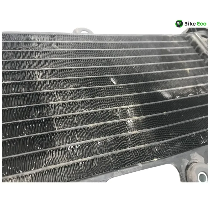 Radiateur eau YAMAHA TDR 125 1997-2003