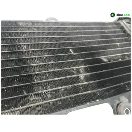 Radiateur eau YAMAHA TDR 125 1997-2003