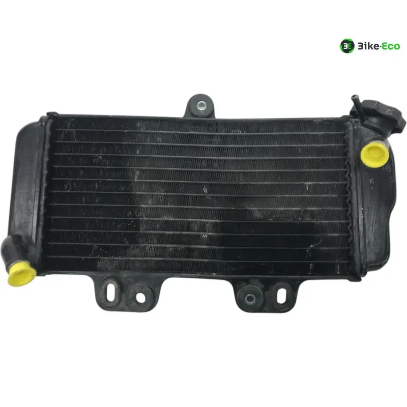 Radiateur eau YAMAHA TDR 125 1997-2003