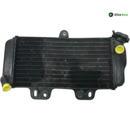 Radiateur eau YAMAHA TDR 125 1997-2003