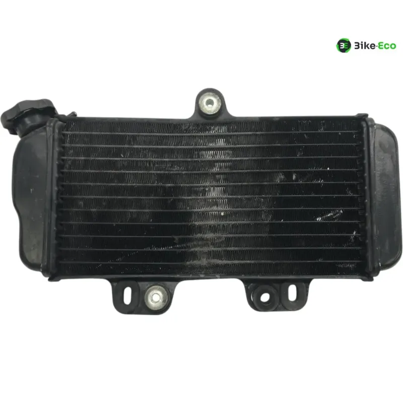 Radiateur eau YAMAHA TDR 125 1997-2003