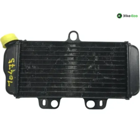 Radiateur eau YAMAHA TDR 125 1993-1996
