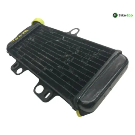 Radiateur eau YAMAHA TDR 125 1993-1996