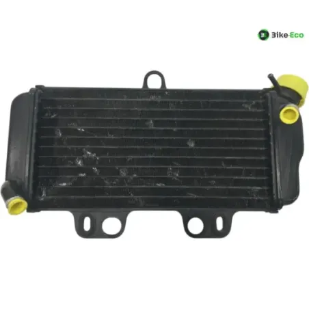 Radiateur eau YAMAHA TDR 125 1993-1996