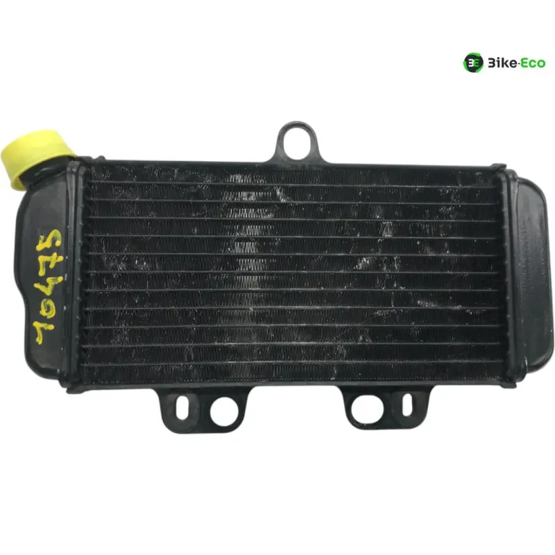 Radiateur eau YAMAHA TDR 125 1993-1996