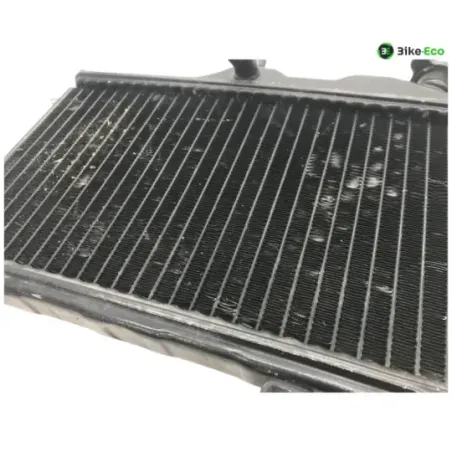 Radiateur eau YAMAHA TDR 250 1988-1992
