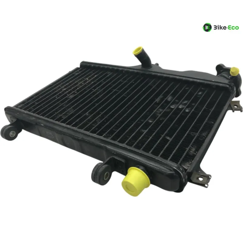Radiateur eau YAMAHA TDR 250 1988-1992