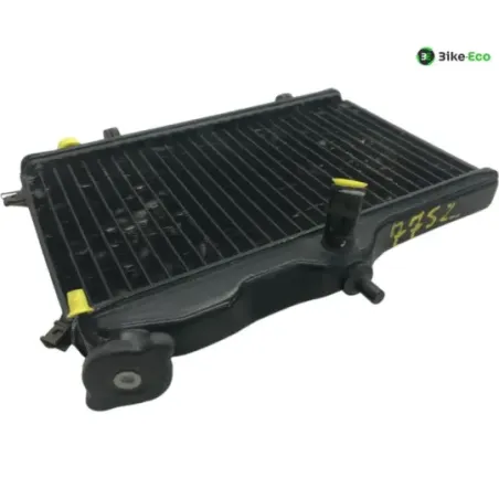Radiateur eau YAMAHA TDR 250 1988-1992