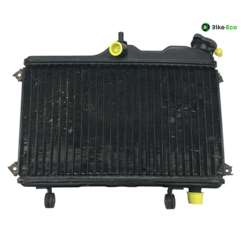 Radiateur eau YAMAHA TDR 250 1988-1992