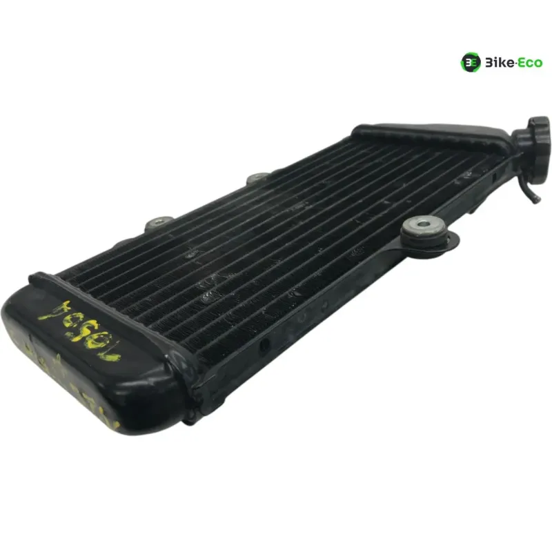 Radiateur eau YAMAHA TDR 125 1993-1996
