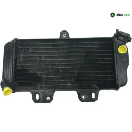 Radiateur eau YAMAHA TDR 125 1993-1996