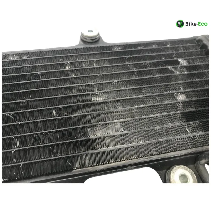 Radiateur eau YAMAHA TDR 125 1993-1996