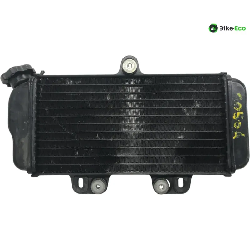 Radiateur eau YAMAHA TDR 125 1993-1996