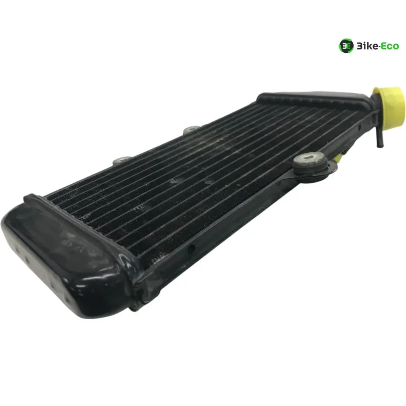 Radiateur eau YAMAHA TDR 125 1993-1996
