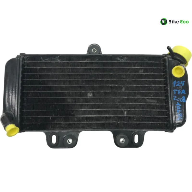 Radiateur eau YAMAHA TDR 125 1993-1996