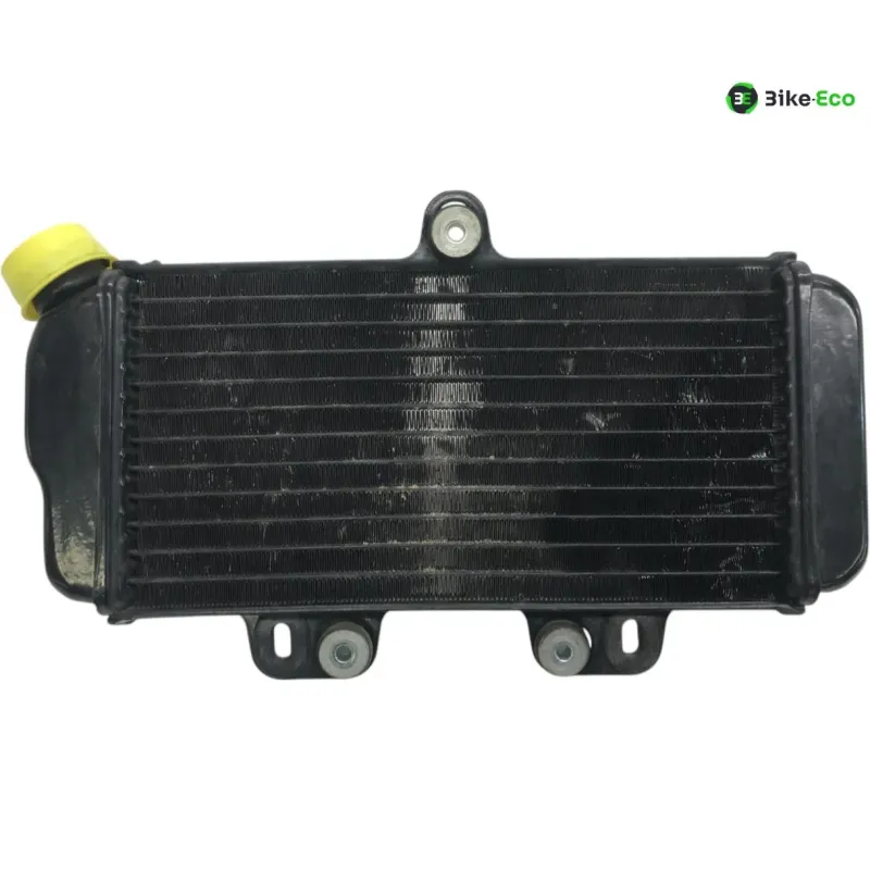 Radiateur eau YAMAHA TDR 125 1993-1996