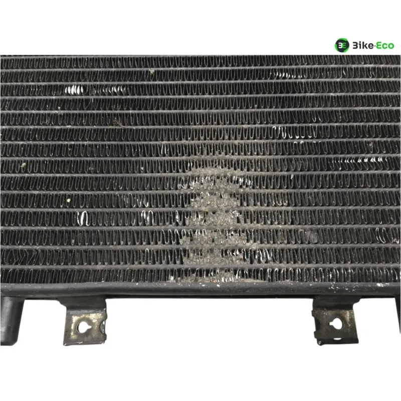 Radiateur eau TRIUMPH TROPHY 900 1996-2001