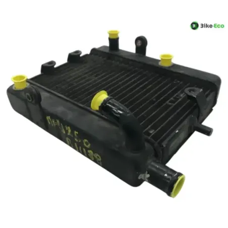 Radiateur eau YAMAHA YP 250 1996-1998 MAJESTY