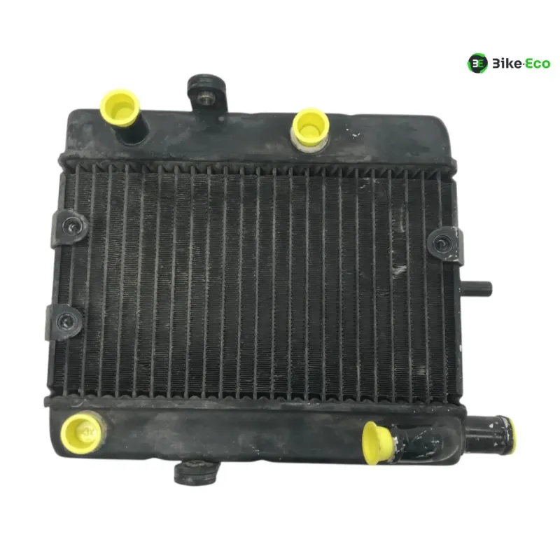 Radiateur eau YAMAHA YP 250 1996-1998 MAJESTY