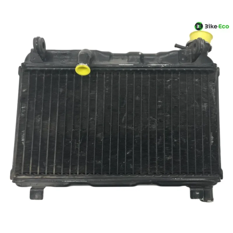 Radiateur eau SUZUKI RG 125 F 1992-1996 GAMMA