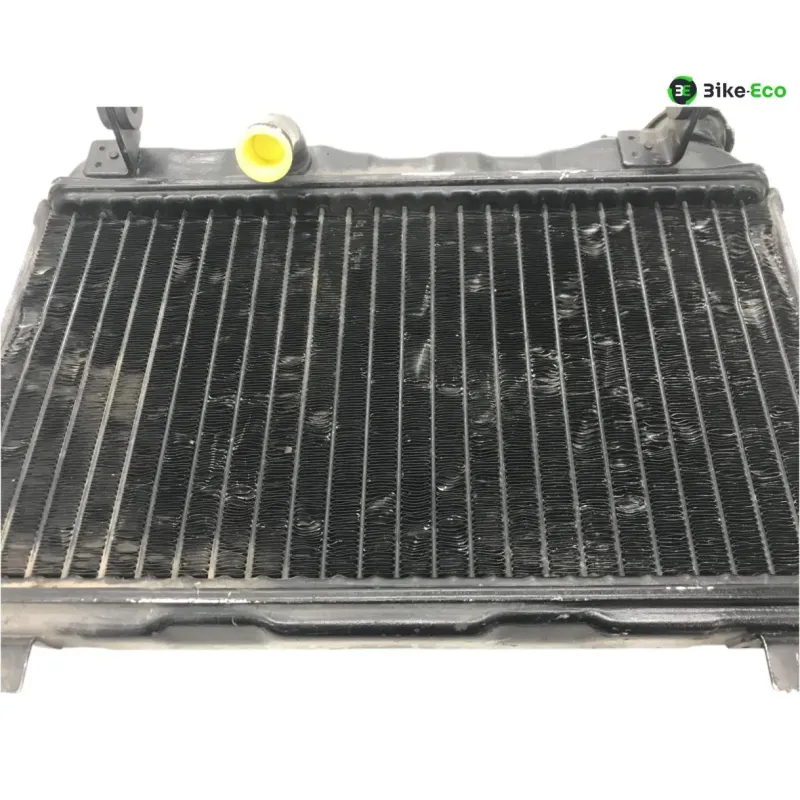 Radiateur eau SUZUKI RG 125 F 1992-1996 GAMMA