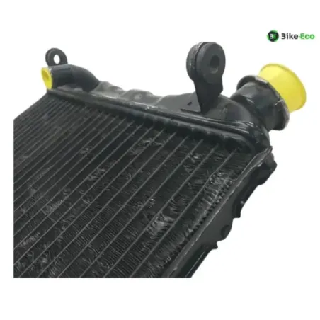 Radiateur eau SUZUKI RG 125 F 1992-1996 GAMMA