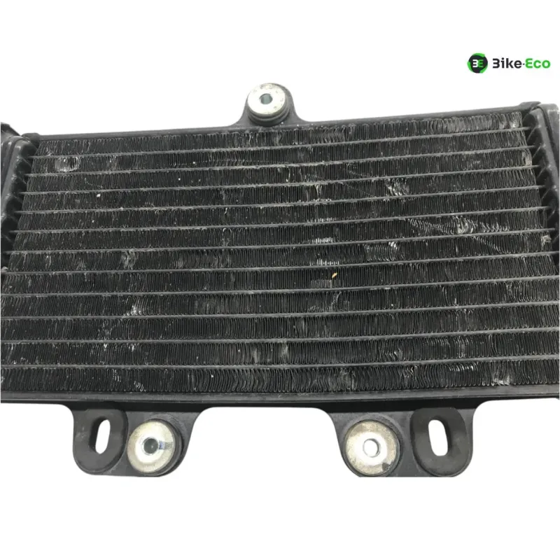 Radiateur eau YAMAHA TDR 125 1997-2003