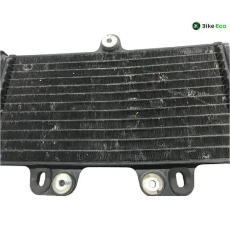 Radiateur eau YAMAHA TDR 125 1997-2003