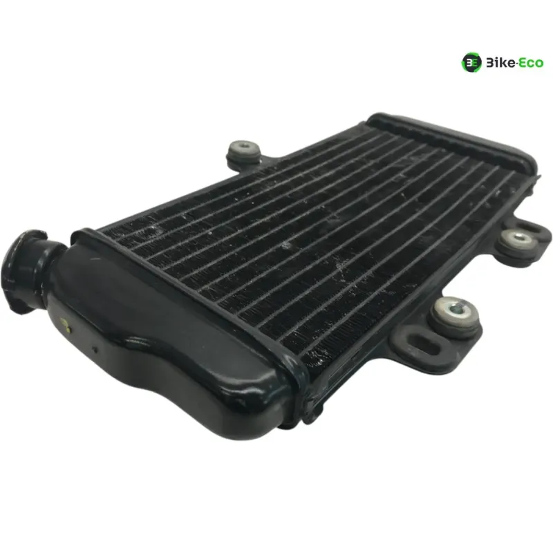 Radiateur eau YAMAHA TDR 125 1997-2003