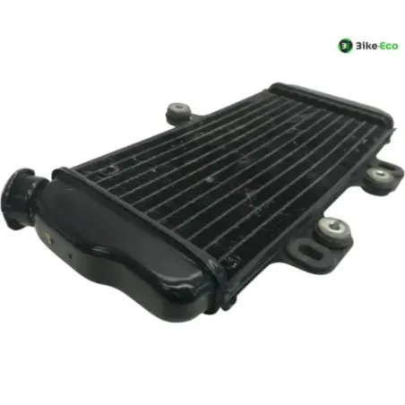Radiateur eau YAMAHA TDR 125 1997-2003