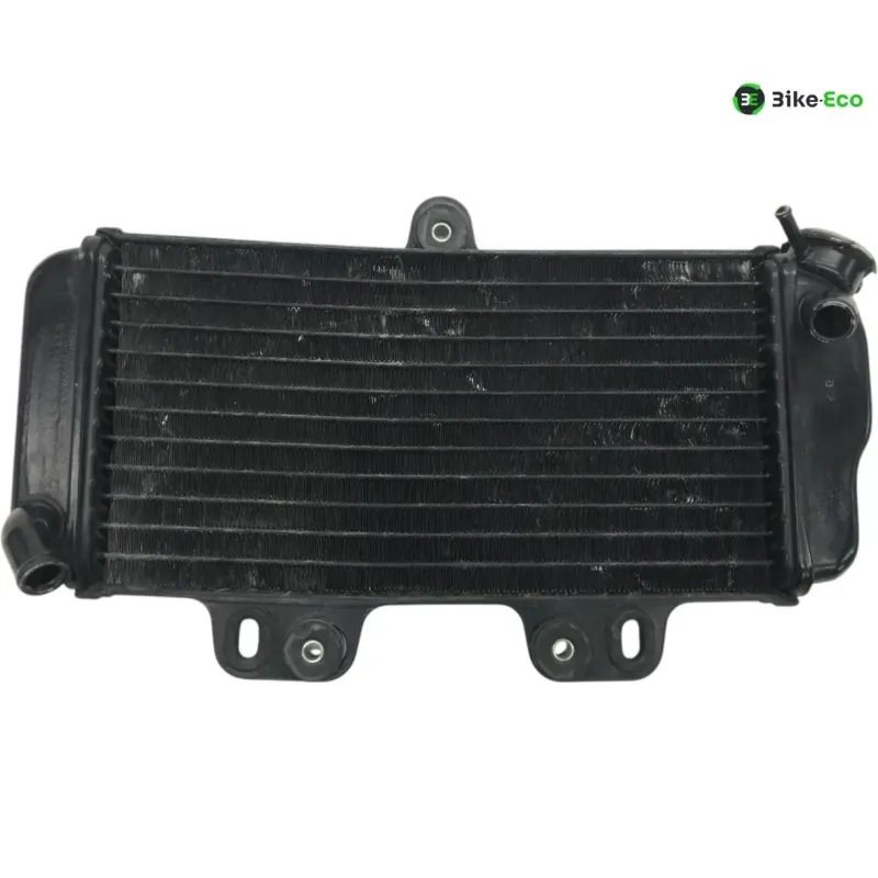 Radiateur eau YAMAHA TDR 125 1997-2003