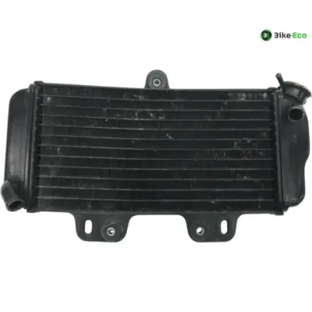 Radiateur eau YAMAHA TDR 125 1997-2003