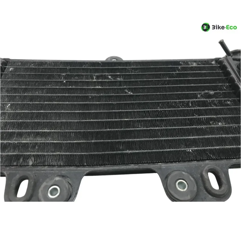 Radiateur eau YAMAHA TDR 125 1997-2003