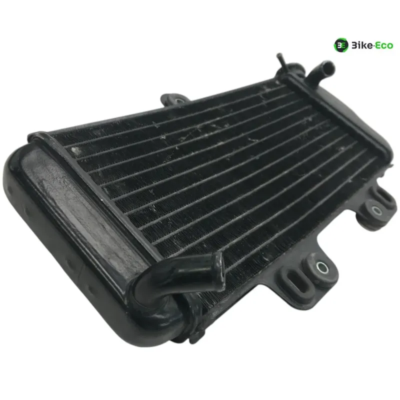 Radiateur eau YAMAHA TDR 125 1997-2003
