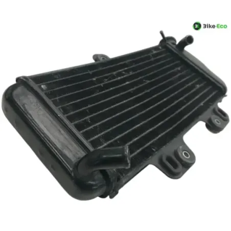 Radiateur eau YAMAHA TDR 125 1997-2003