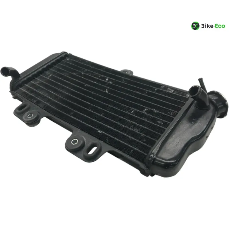 Radiateur eau YAMAHA TDR 125 1997-2003